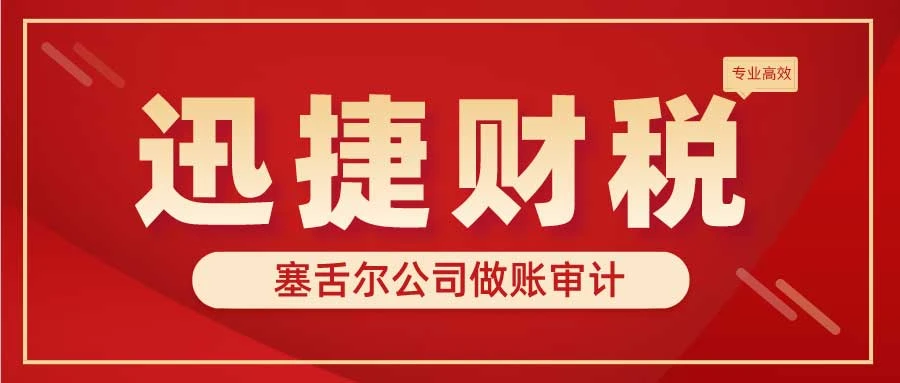 塞舌尔公司做账审计