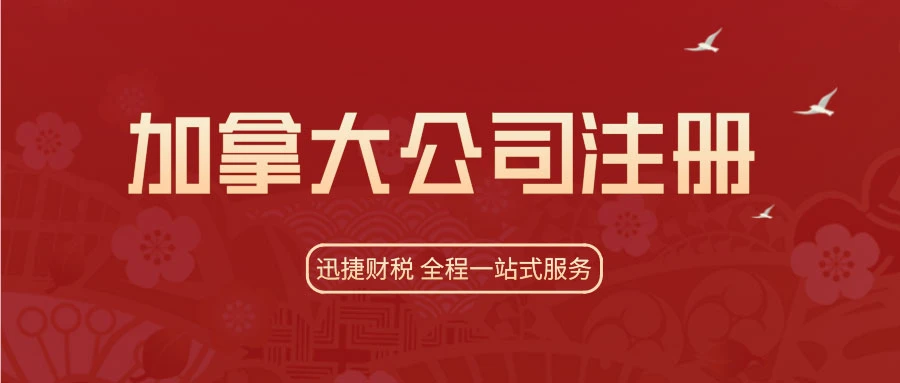 加拿大商业布局，联邦公司与省公司如何选择最优方案？
