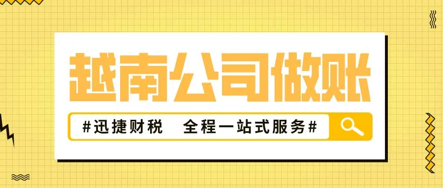 越南公司做账审计