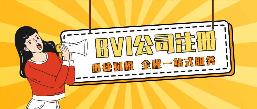 BVI公司注册代办费用详解，成本构成与专业服务选择