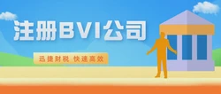 BVI公司注册价格全解析，费用构成与优化方案