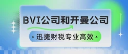 开曼公司注册需要哪些条件？全面解析注册流程与要求