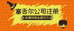 塞舌尔注册公司程序，清晰流程与关键步骤详解