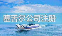 专业塞舌尔公司注册指南，优势、流程与注意事项