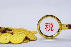 2025年越南税务系统解析，税种、税率及税收优惠全方位解析