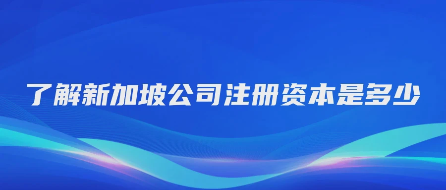 了解新加坡公司注册资本是多少