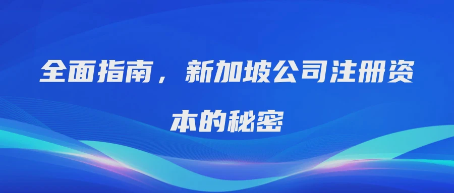 全面指南，新加坡公司注册资本的秘密