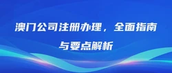 澳门公司注册办理，全面指南与要点解析