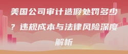 美国公司审计造假处罚多少？违规成本与法律风险深度解析