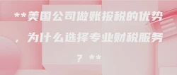 美国公司做账报税的优势，为什么选择专业财税服务？