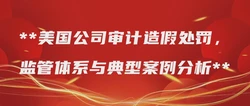 美国公司审计造假处罚，监管体系与典型案例分析