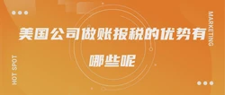 美国公司做账报税的优势有哪些呢