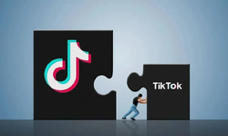 省 20% 手续费！TikTok 美区 2026 注册 LLC 或英国公司？Stripe 开户